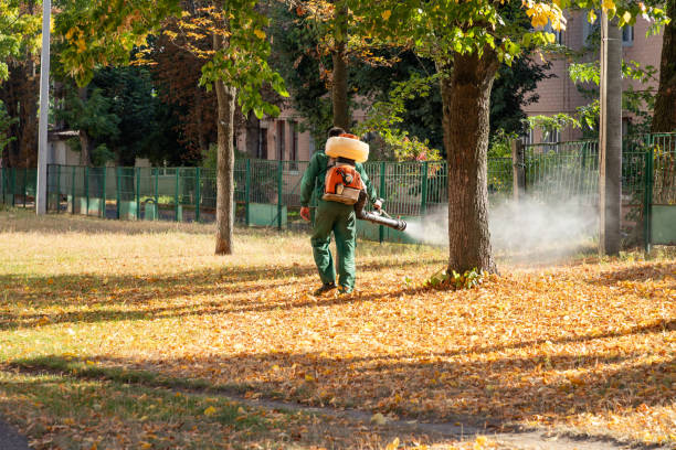 Best Wasp Removal Services  in Spencer, WI